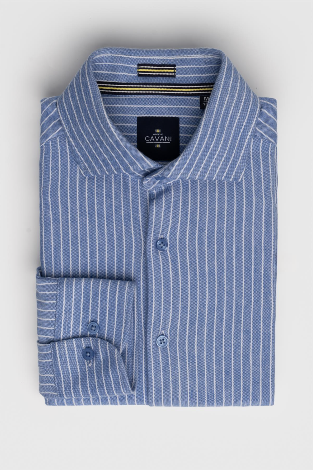 Ashley Stripe Blue Shirt
