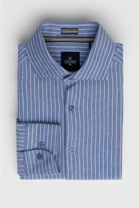 Ashley Stripe Blue Shirt
