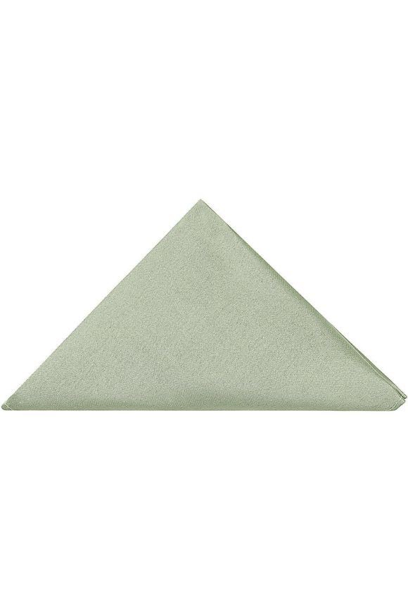 Pastel Green Tie, Pocket Square & Silver Tie Clip Gift Set