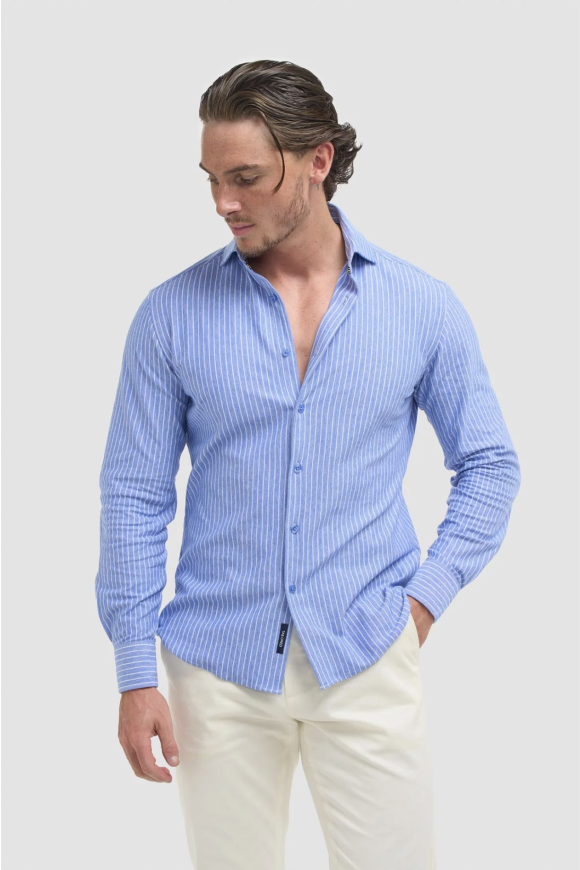 Ashley Stripe Blue Shirt