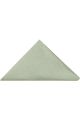 Pastel Green Tie, Pocket Square & Silver Tie Clip Gift Set