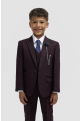 Cavani Kids Boys Caridi Wine Three piece Suit