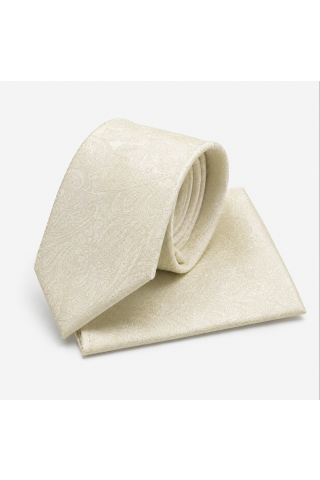 Paisley Champagne classic mens tie & pocket square set