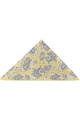 Yellow & blue paisley pocket square  