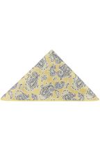 Yellow & blue paisley pocket square  